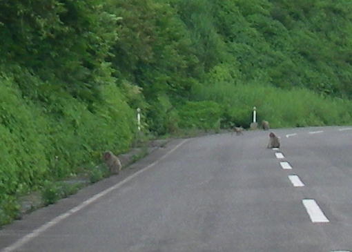 b0172209_97014.jpg