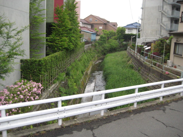 a0030217_610573.jpg