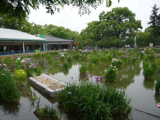 e0111220_1158836.jpg