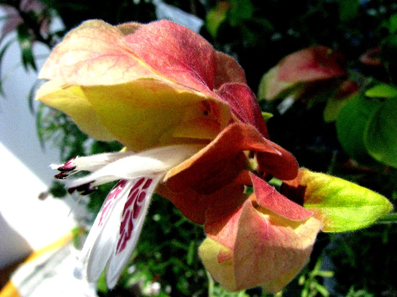 a0004023_20554031.jpg