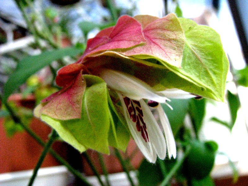 a0004023_20563158.jpg