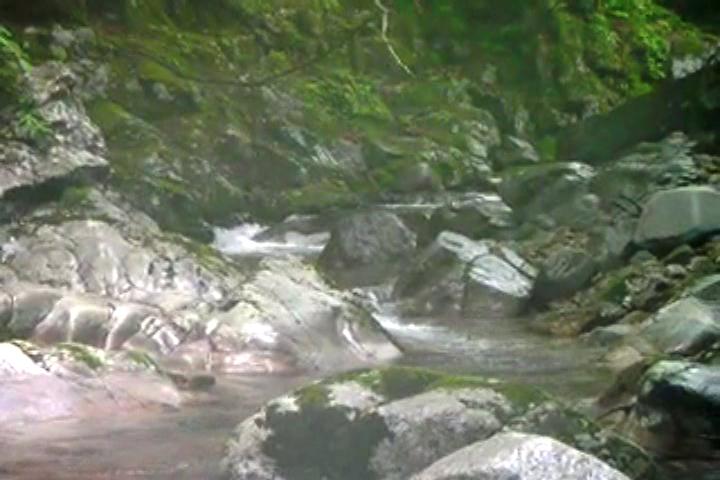 a0097823_7123413.jpg