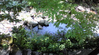 c0169024_1052588.jpg