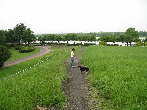 e0162524_12241650.jpg