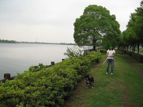 e0162524_12265324.jpg