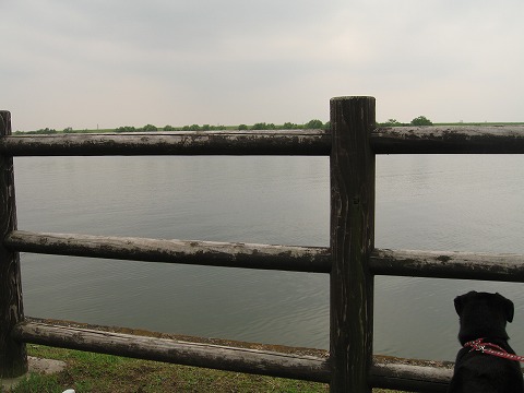 e0162524_12271019.jpg