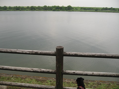 e0162524_12272012.jpg
