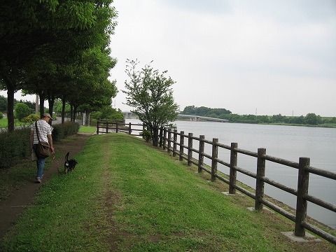 e0162524_12273566.jpg
