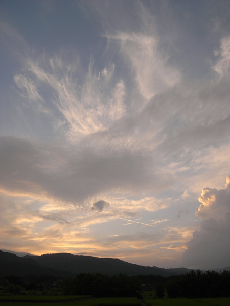 f0137626_232519.jpg