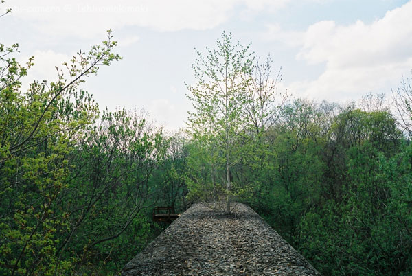 f0164826_14142890.jpg