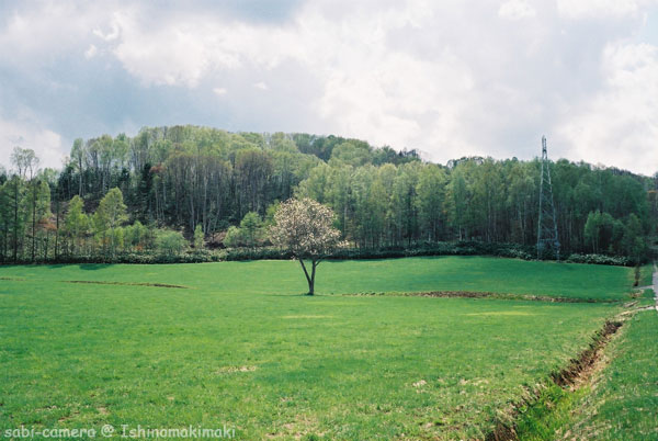 f0164826_1463865.jpg