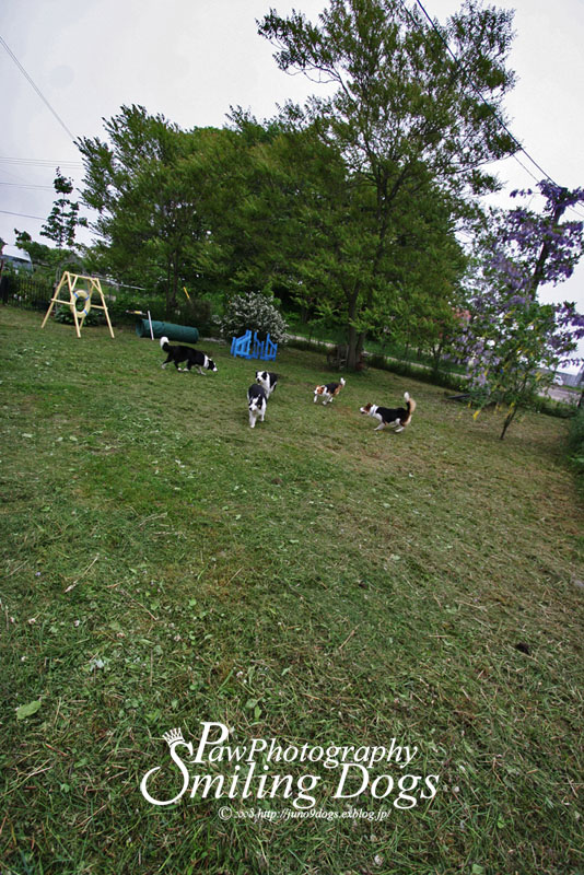 e0113228_20152439.jpg