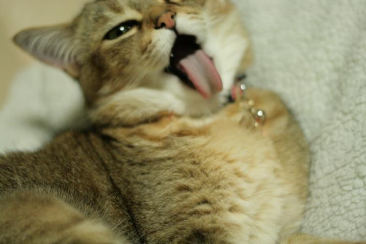 f0055228_2013120.jpg