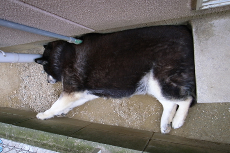 f0080530_8305581.jpg