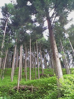 b0185232_0222822.jpg