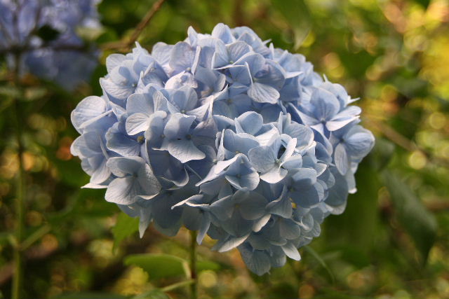 e0064133_23553193.jpg