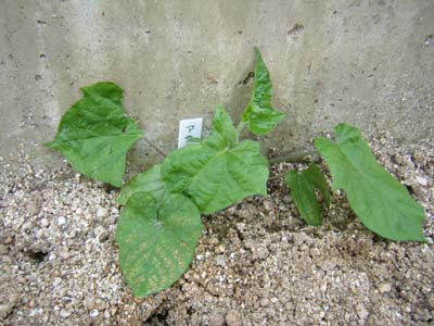 f0008935_155018100.jpg