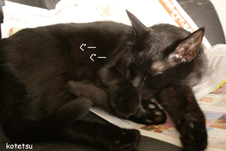 c0132438_2355025.jpg