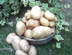 f0204440_0511446.jpg