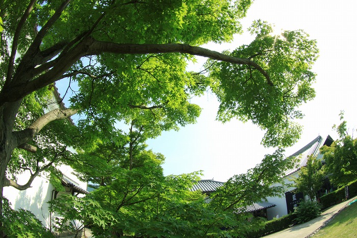 b0168041_1910526.jpg