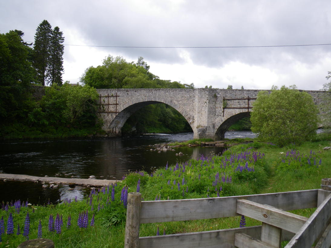 f0084544_135469.jpg