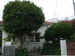 f0023446_0212538.jpg