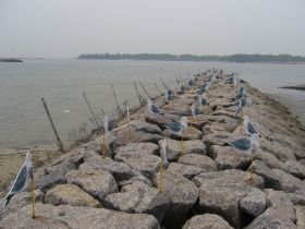 e0110047_19133736.jpg