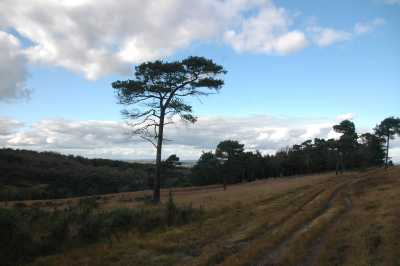c0027849_21274825.jpg