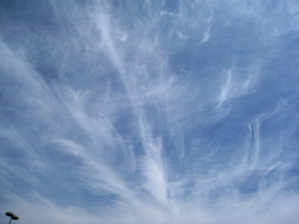 b0173754_114928100.jpg