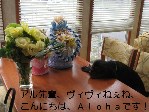 a0101958_1693420.jpg