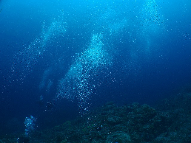 a0117858_22445794.jpg