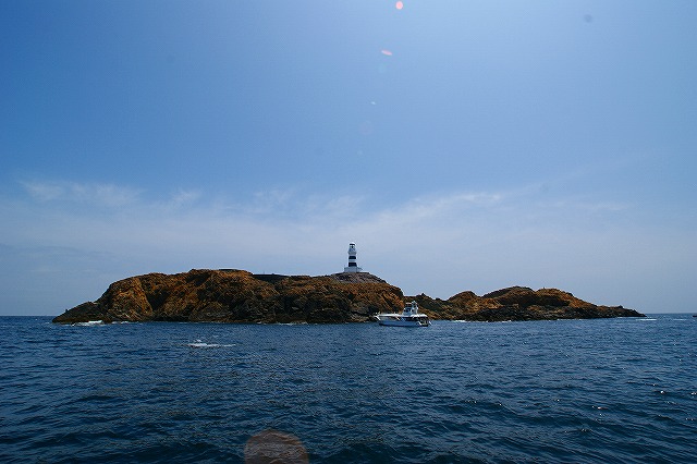 a0117858_22512620.jpg