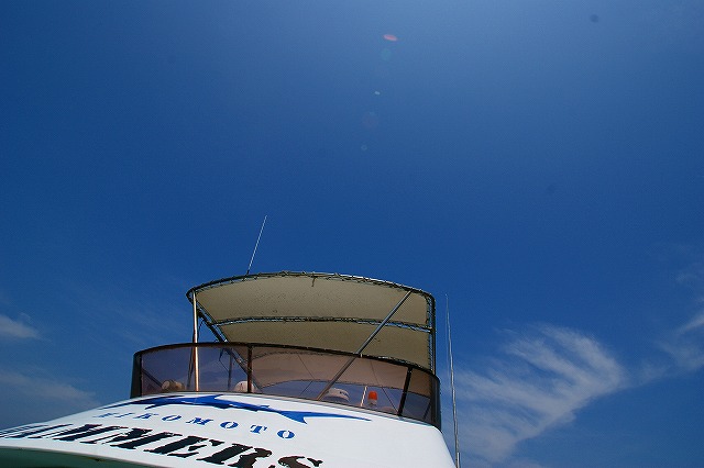 a0117858_2252713.jpg