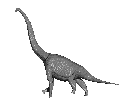 c0119160_206812.gif