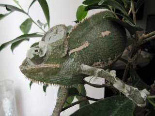 b0169861_1052927.jpg