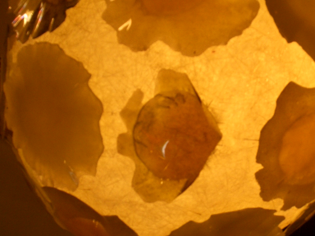 a0108963_1771814.jpg