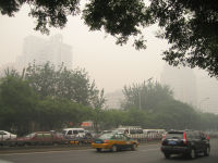 e0085163_1004160.jpg