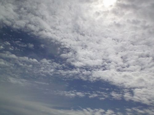 c0139375_1632508.jpg