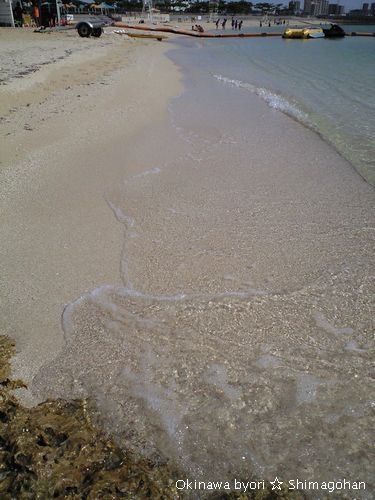 c0139375_1637429.jpg