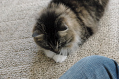 f0004775_7145062.jpg