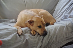 f0004775_7154045.jpg