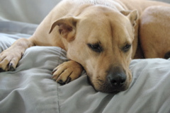 f0004775_7162370.jpg