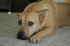 f0004775_7483462.jpg
