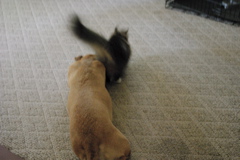 f0004775_7494848.jpg