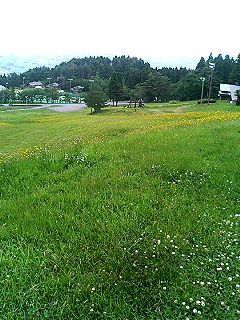 f0054677_919407.jpg
