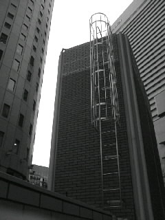 f0100480_20444047.jpg