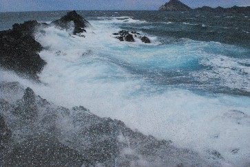 e0052088_1434599.jpg
