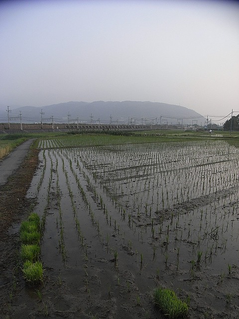 a0118289_8491148.jpg