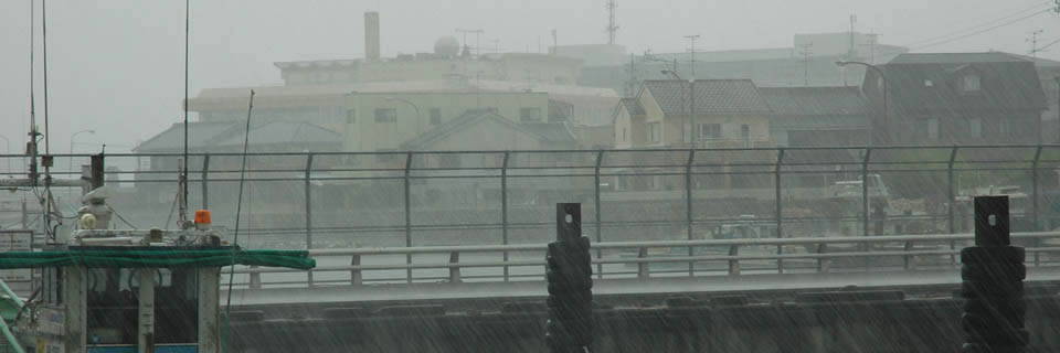 c0170789_225953.jpg