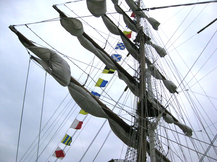 f0164989_673339.jpg